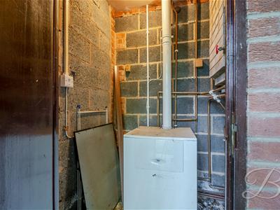 Picture 27